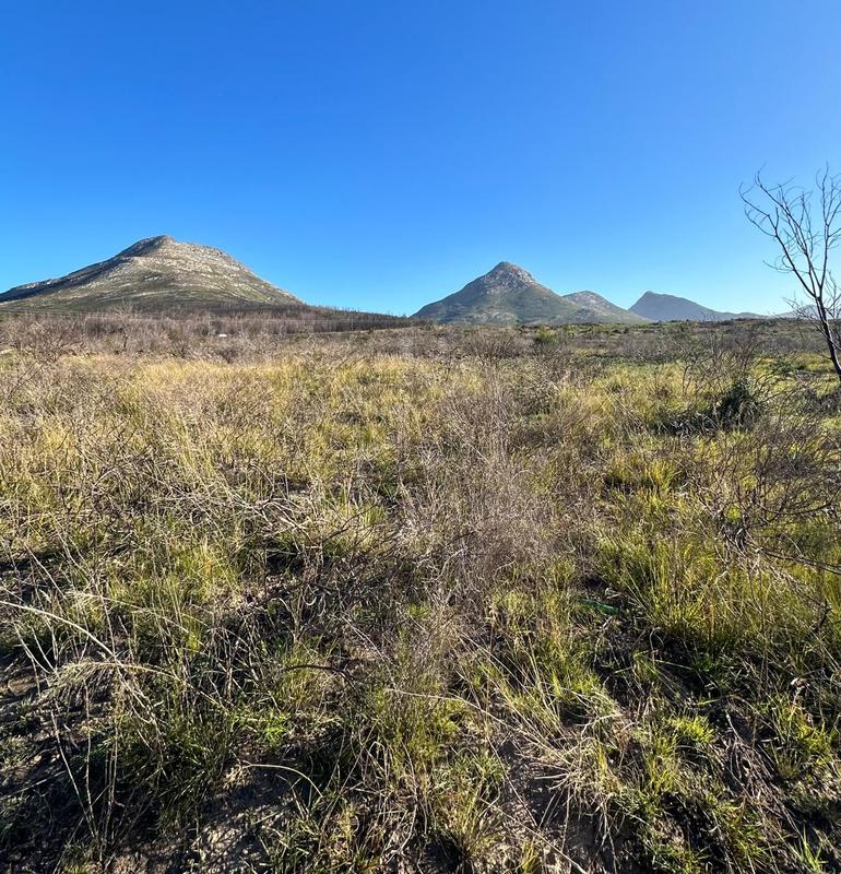 0 Bedroom Property for Sale in Kareedouw Eastern Cape